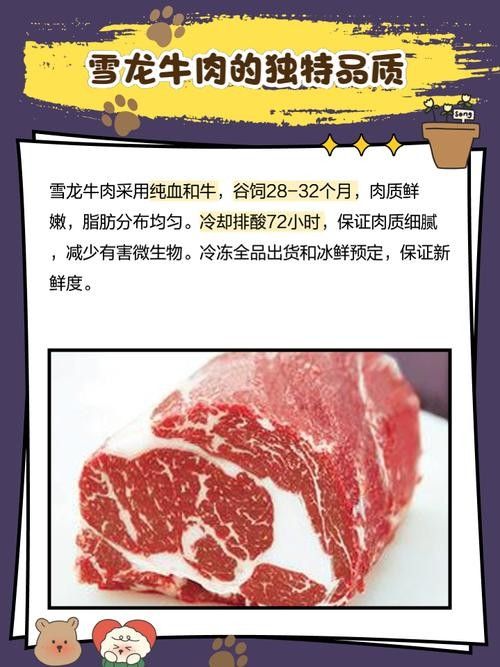 雪龍的價格范圍是多少