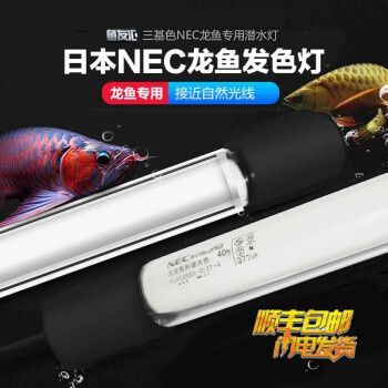 龍魚t8燈管（如何根據(jù)魚缸尺寸選燈管功率，）
