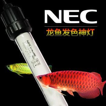 龍魚t8燈管（如何根據(jù)魚缸尺寸選燈管功率，）