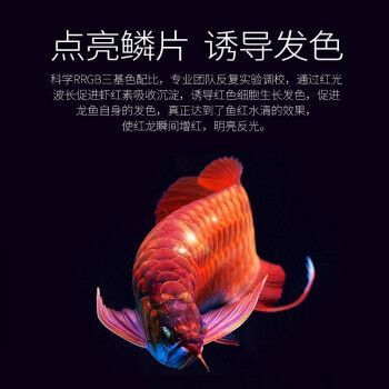 龍魚t8燈管（如何根據(jù)魚缸尺寸選燈管功率，）