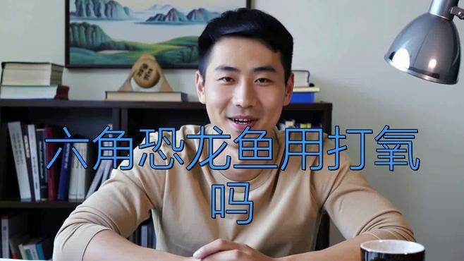 如何判斷六角龍魚是否需要增氧？