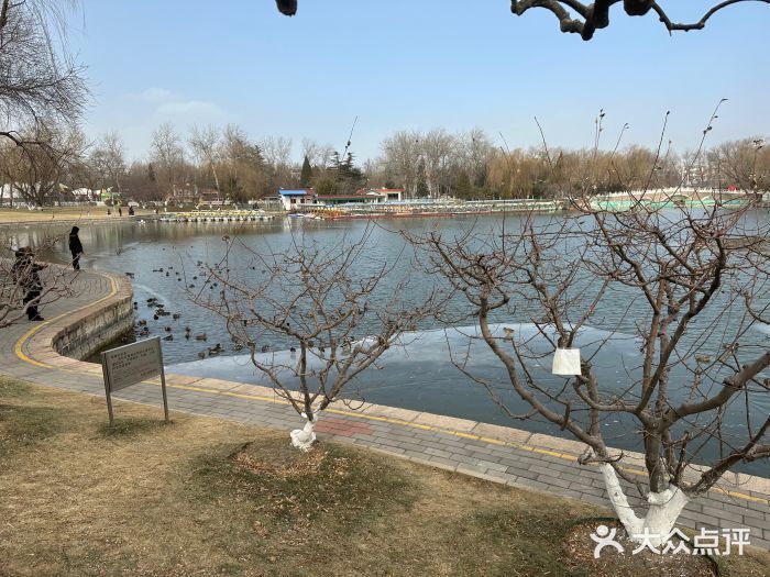 北京哪里的龍魚比較好釣：北京地區釣龍魚地點
