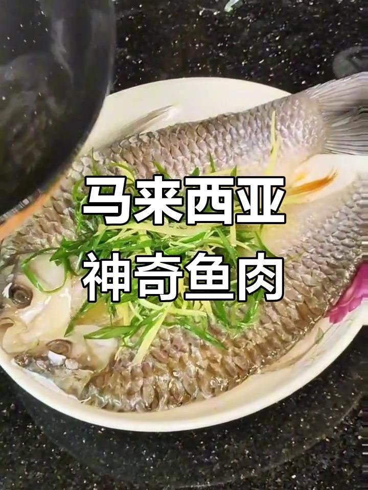 馬來西亞魚兒