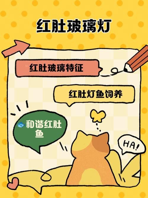 雷龍魚可以和別的魚混養嗎圖片