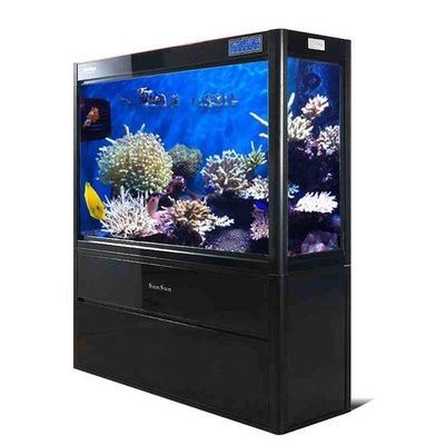龍魚五大品牌魚缸：2024年龍魚五大品牌魚缸排名