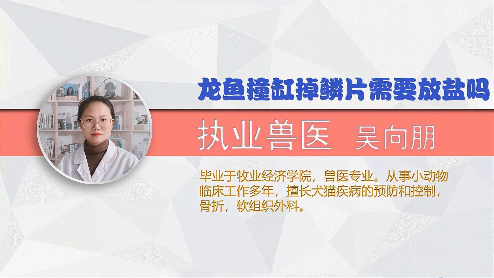 龍魚撞缸子鱗片開了了怎么回事