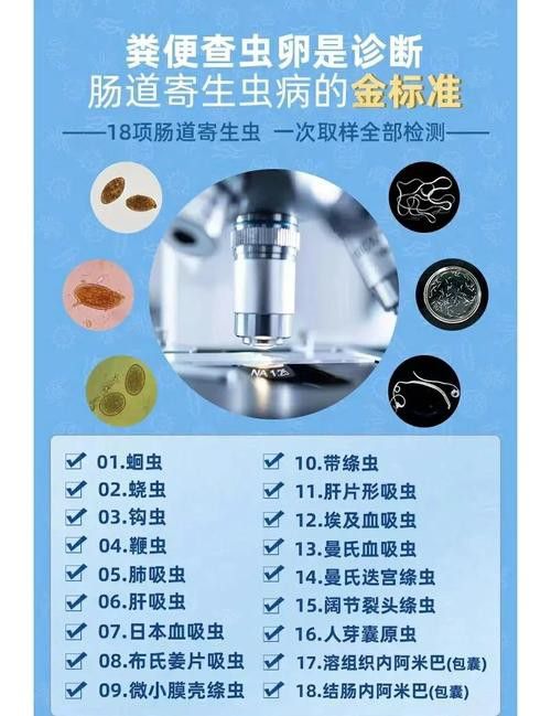 如何預(yù)防龍貓的寄生蟲感染？