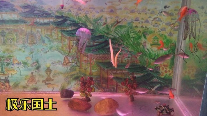 熱帶魚魚缸布景圖片高清（熱帶魚缸自然景觀設(shè)計(jì)海洋風(fēng)格魚缸背景制作）