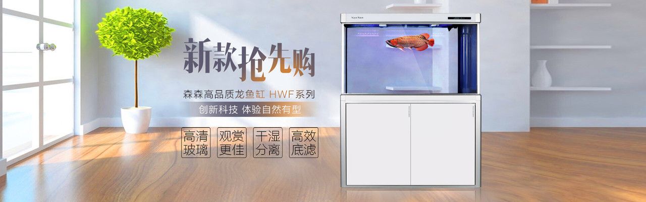 紅龍魚市場價多少錢一斤啊圖片視頻大全集（紅龍魚市場價多少錢一斤啊圖片視頻大全集下載）