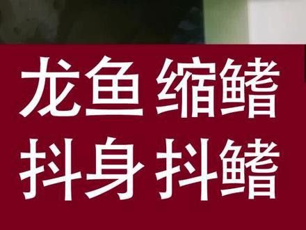恐龍魚在缸里不停的游動怎么辦呢