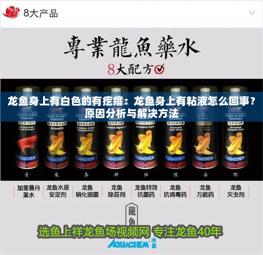 龍魚身上有白色的有疙瘩：龍魚身上有粘液怎么回事？原因分析與解決方法