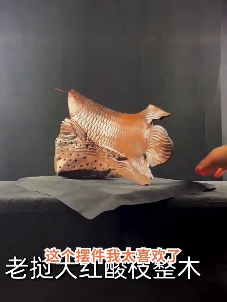 給我推薦幾款性價比高的木雕金龍魚