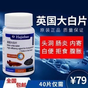 龍魚白便用什么藥：龍魚白便是由于多種原因引起的