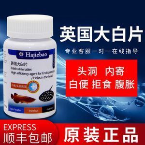 龍魚白便用什么藥：龍魚白便是由于多種原因引起的