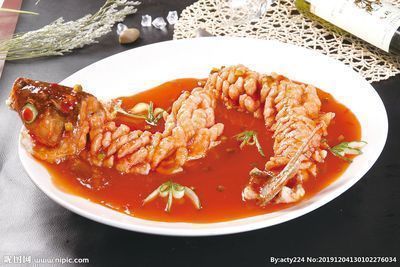 白缸養金龍魚可以嗎（白缸養金龍魚可行嗎）