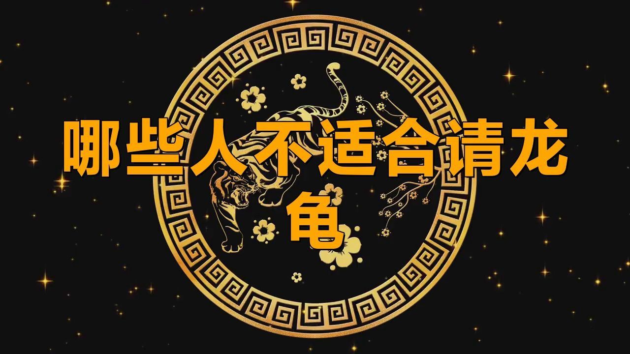 佩戴龍龜有哪些禁忌人群