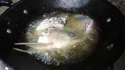 龍魚活食怎么保存時間長：龍魚活食保存時間長的方法