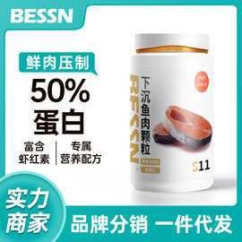 80cm的銀龍魚能賣多少錢一條