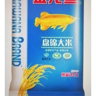 野金龍魚長什么樣（亞洲龍魚或龍吐珠是一種非常受歡迎的觀賞價值的魚類）