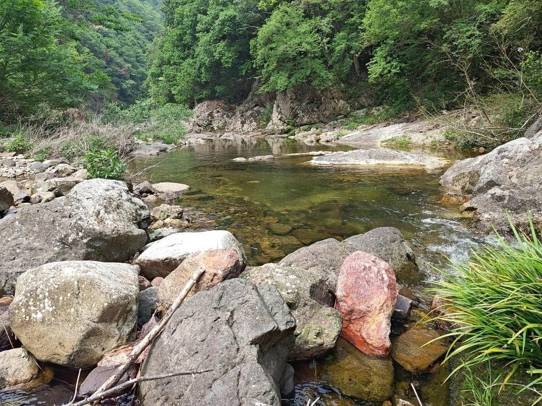 龍魚哪個漁場的最好釣