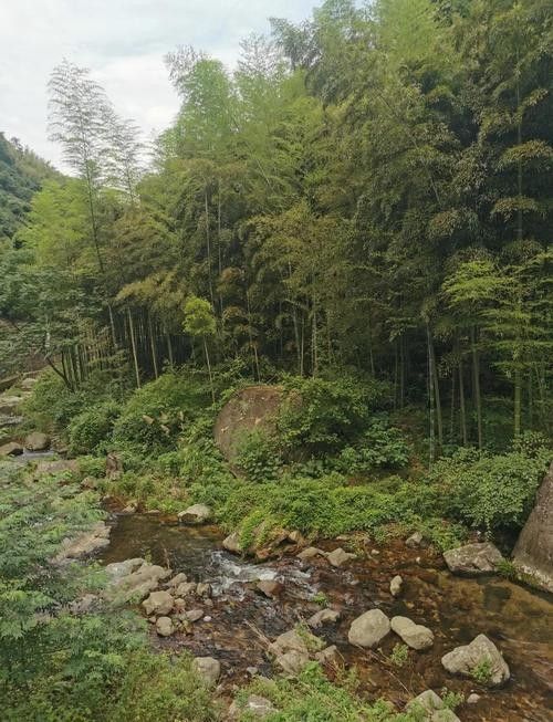 龍魚哪個漁場的最好釣