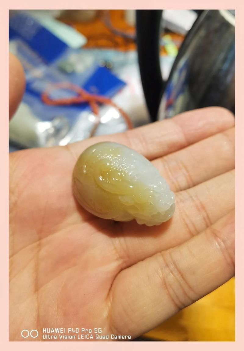龍龜放魚缸里風水好嗎