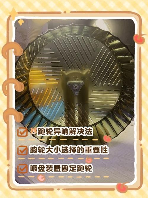 龍貓雙養需要哪些玩具？