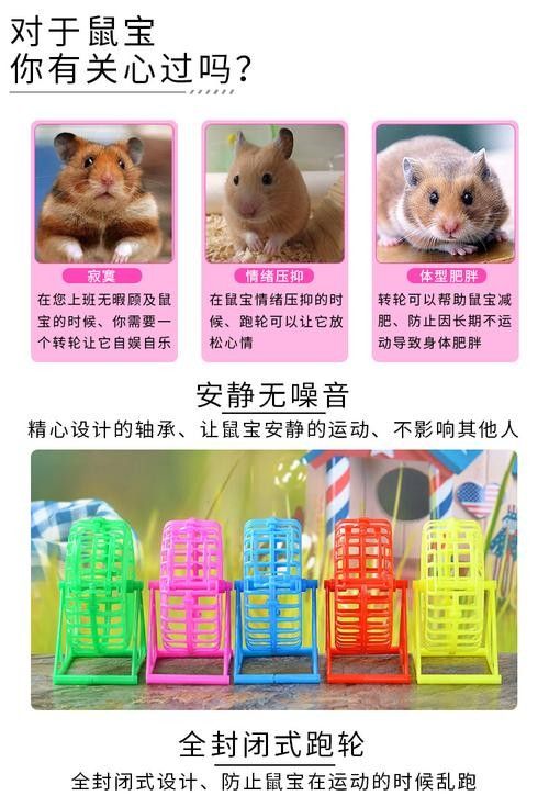龍貓雙養需要哪些玩具？