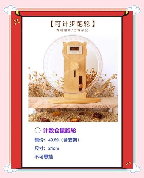 龍貓雙養需要哪些玩具？