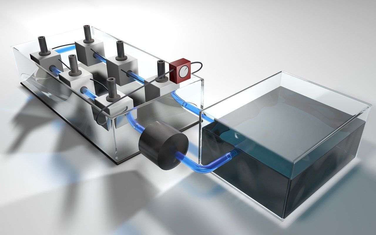 金龍魚養(yǎng)一條還是兩條好：金龍魚養(yǎng)單還是養(yǎng)雙