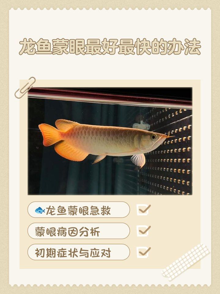 紅龍魚蒙眼病可以開燈嗎？