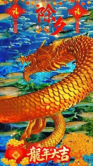 龍騰魚圖片大全