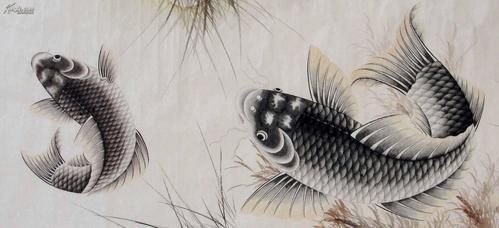 龍騰魚圖片大全
