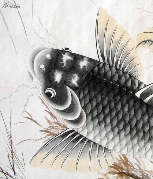 龍騰魚圖片大全