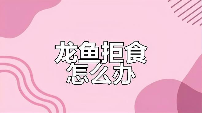 如何判斷龍魚厭食類型？