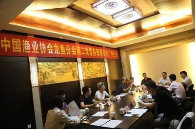 紅龍魚的價(jià)格及圖片及價(jià)格表大全圖（紅龍魚的價(jià)格及圖片及價(jià)格表大全圖解）