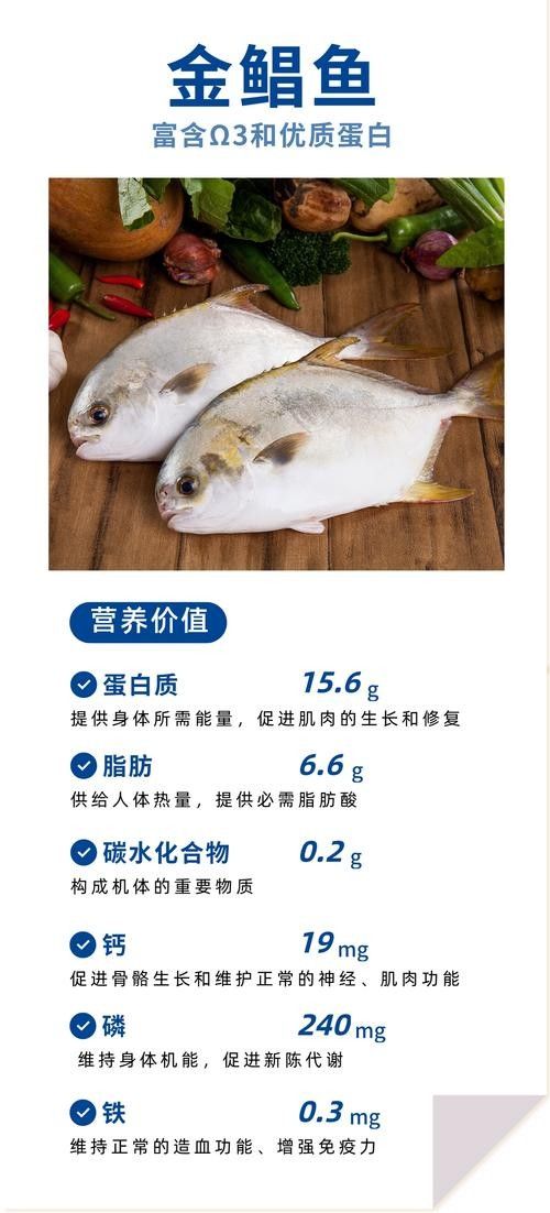 黃鰭鯧和龍魚混養(yǎng)注意事項(xiàng)有哪些圖片