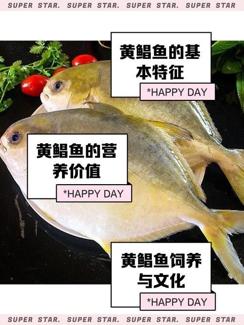 黃鰭鯧和龍魚混養(yǎng)注意事項(xiàng)有哪些圖片