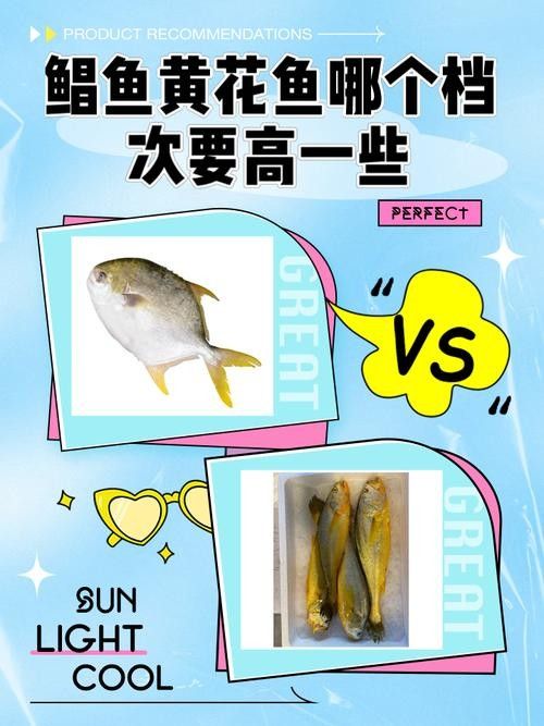 黃鰭鯧和龍魚混養(yǎng)注意事項(xiàng)有哪些圖片