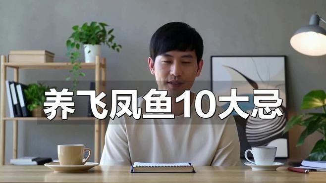 飛鳳魚(yú)在龍魚(yú)缸中如何飼養(yǎng)？