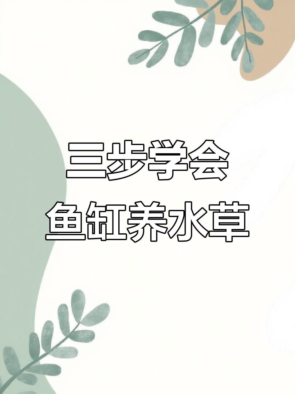 龍魚缸植物如何養護？