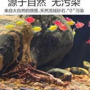 龍魚缸可以鋪底砂嗎：魚缸鋪底砂的利弊