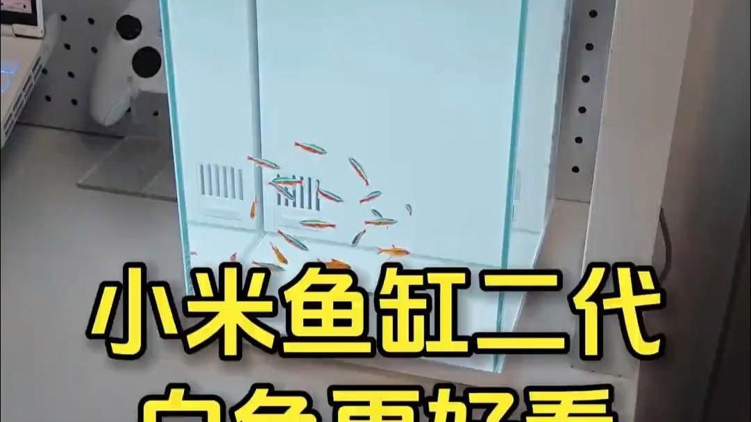 如何選擇合適的魚缸顏色