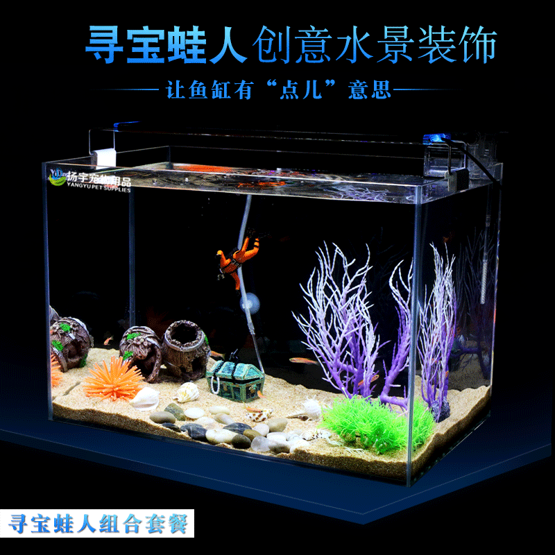 龍魚便宜的多少錢（便宜的龍魚品種包括星點龍魚和青龍魚和青龍魚的價格）