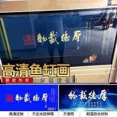 紅龍魚發(fā)色階段是什么（紅龍魚發(fā)色階段是什么樣的）