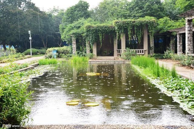 龍魚水質ph低了怎么辦：如何提高龍魚水質的ph值