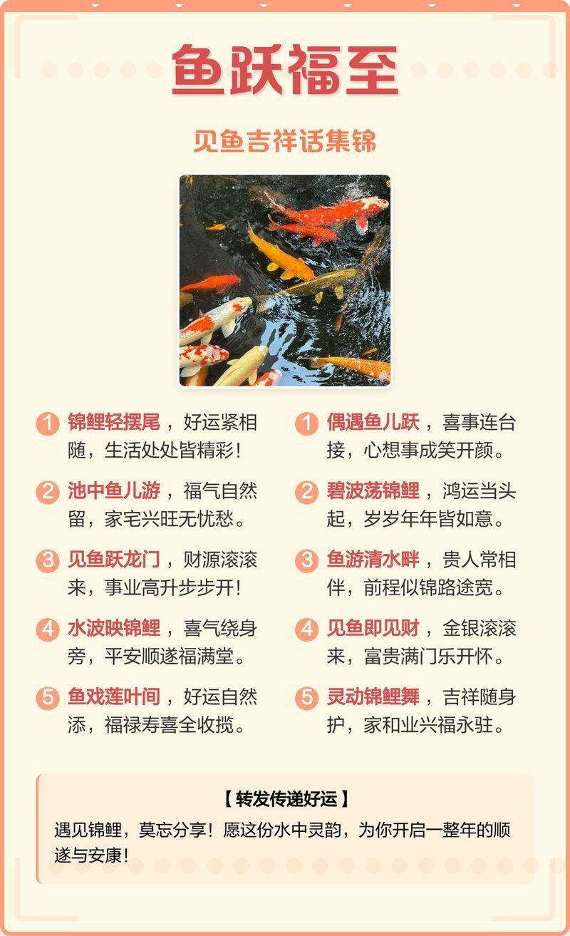 錦鯉好運句子八字