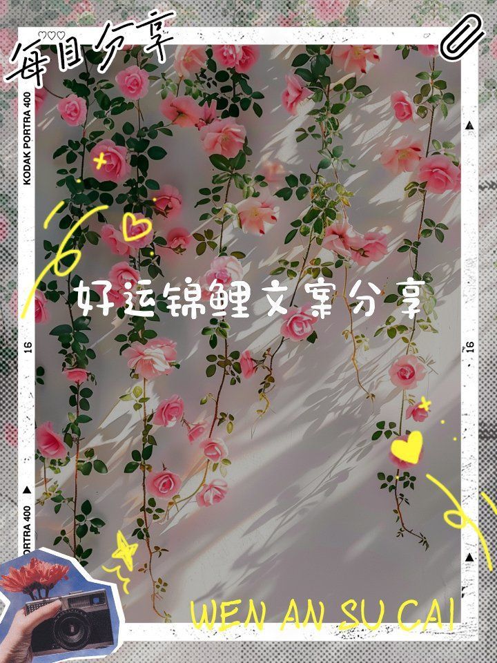 錦鯉好運句子八字