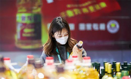 金龍魚2020年業績