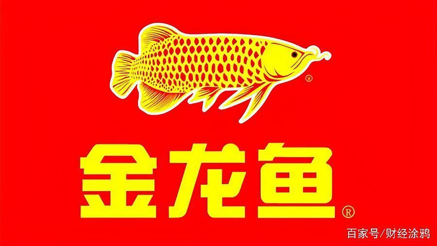 金龍魚2020年業績